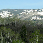 Image of view of mountains near Steamboat Springs, Colorado