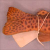Thumbnail image of trout