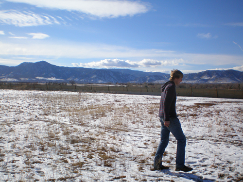 Photo of John Hankla at his harvester ant study site in winter