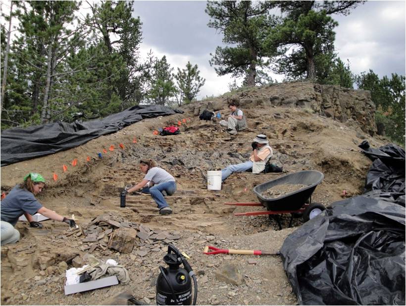 The excavation site at Florissant Fossil Beds National Monument.