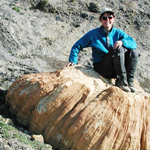 Image of curator Jaelyn Eberle sitting on a fossil tree stump