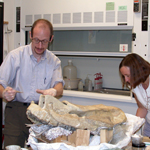 Image of volunteer preparing a fossil