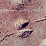 Image of fossil jumping rodent tracks