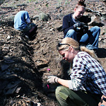Photo of students and park interns in the field collecting fossils