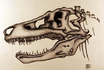 Drawing of T. rex skull